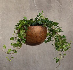Indoor hanging pots