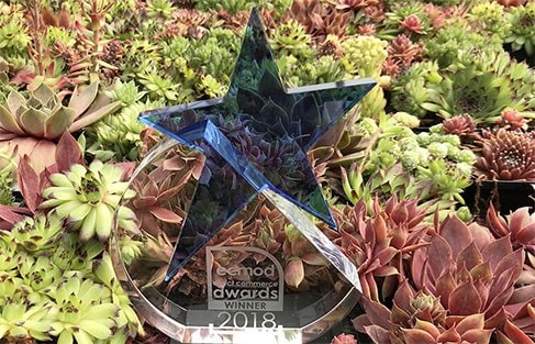 Crocus awarded ‘Best Gardening Brand’ 2018