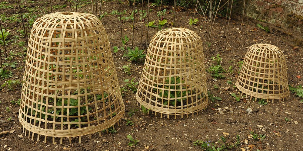 Cloches & growhouses