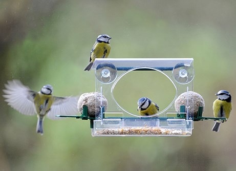 Bird feeders