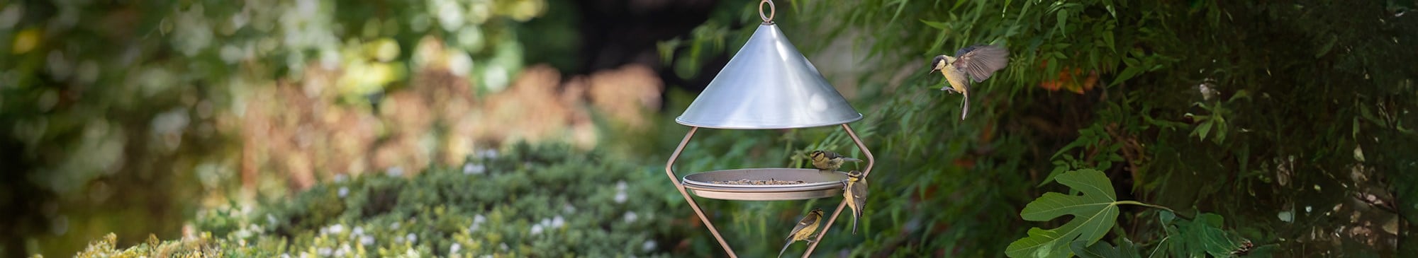 BIRD CARE AND WILDLIFE