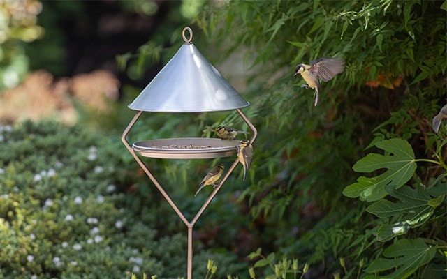 BIRD CARE AND WILDLIFE
