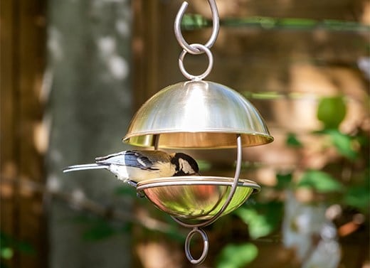 Bird care & wildlife
