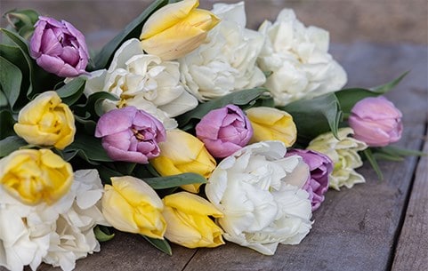 Bulb collections