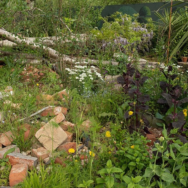 The rubble was built ahead of the show with weeds transplanted from our nursery to look as if it had been there for years rather than weeks.