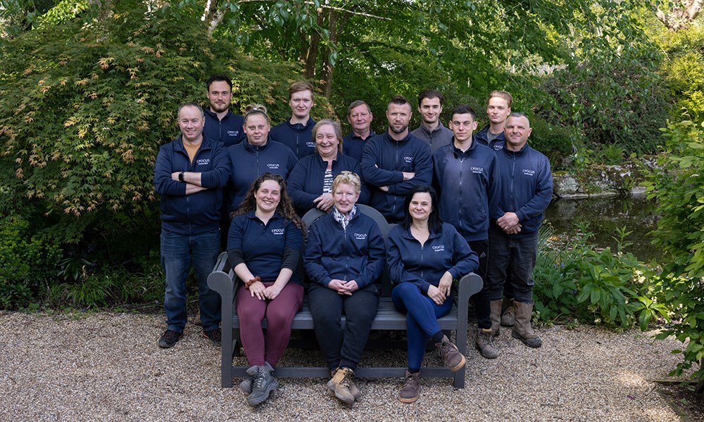 Our amazing team at the Crocus nursery have worked for many months to grow and care for the plants.