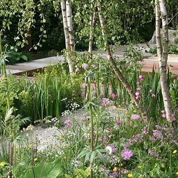 The Daily Telegraph Garden 2012
