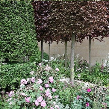 The Laurent-Perrier Garden 2012