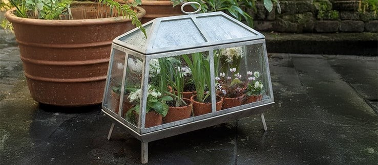 Potting & propagating