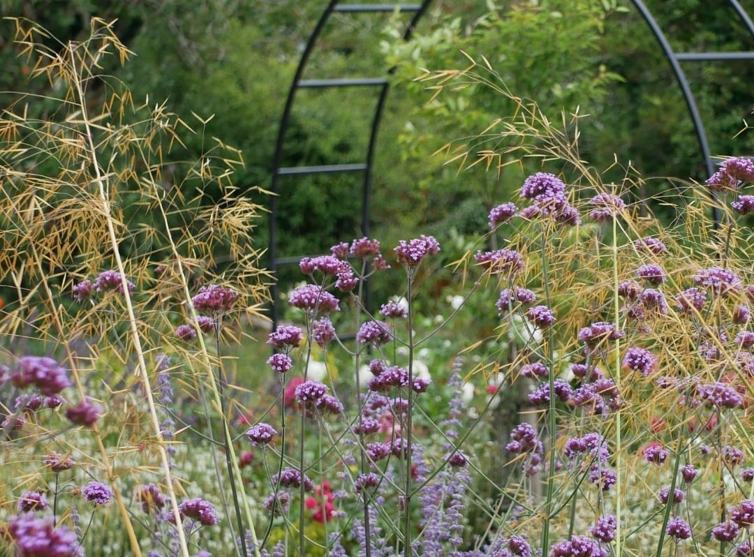 Get inspired with Henry Agg's plant collections