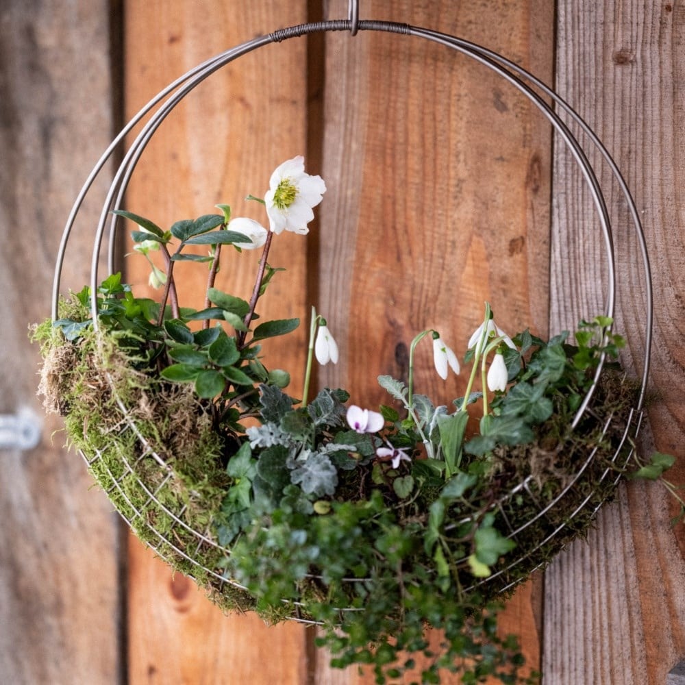 Hanging baskets