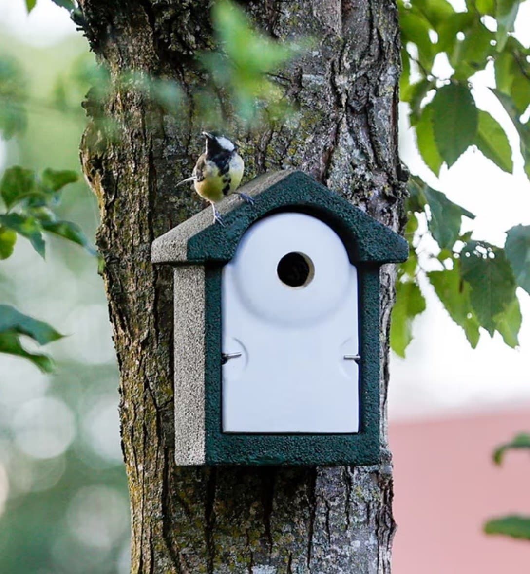 Bird houses