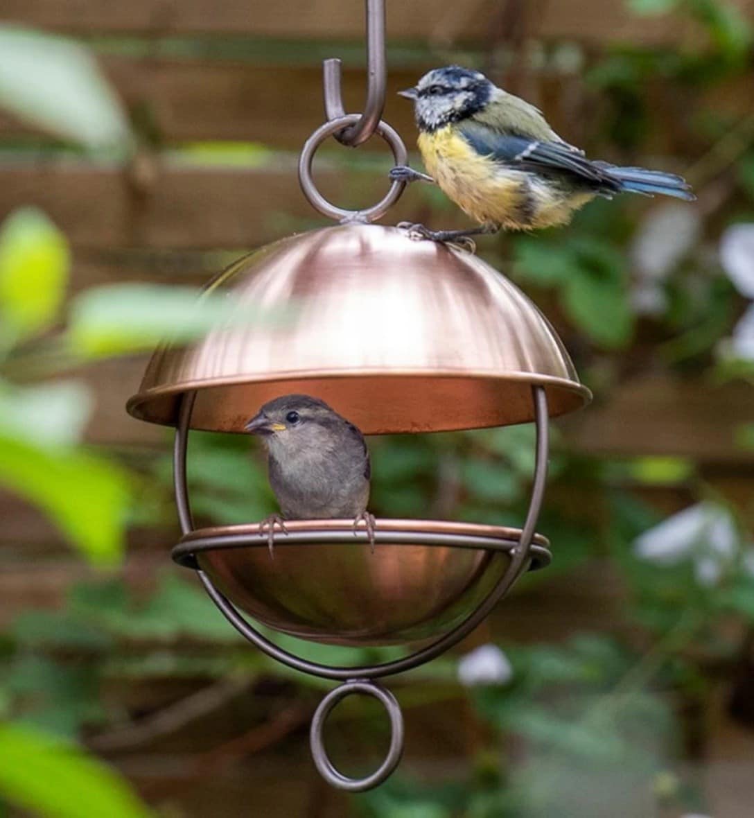 Bird feeders