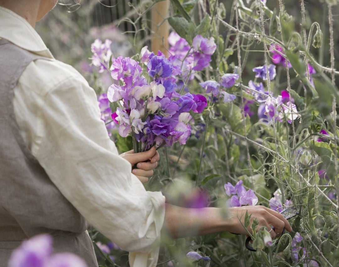 Our favourite 5 plants for scent