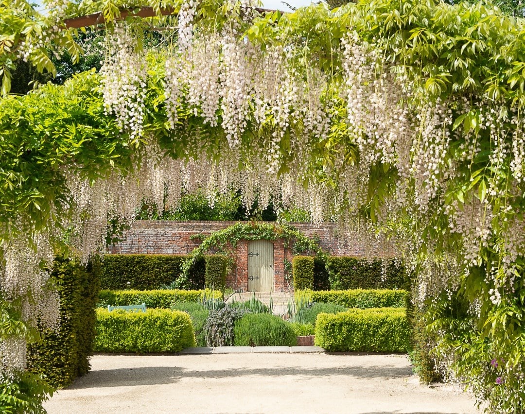 May in the garden