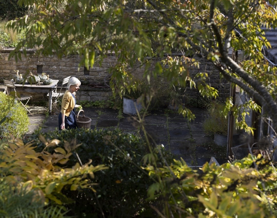 Smaller trees for gardens