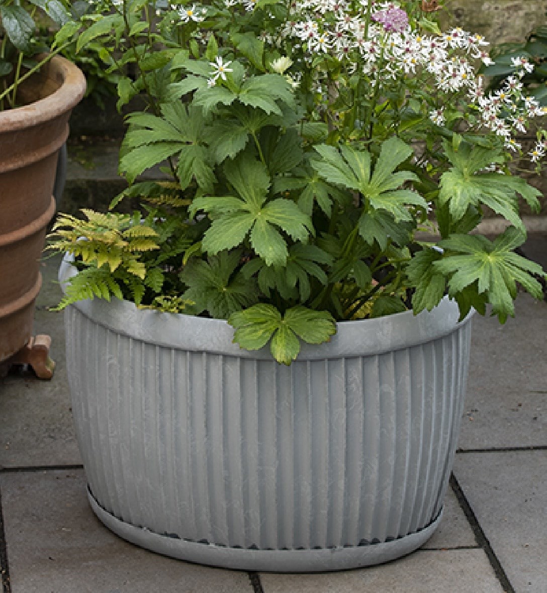 Pots & containers
