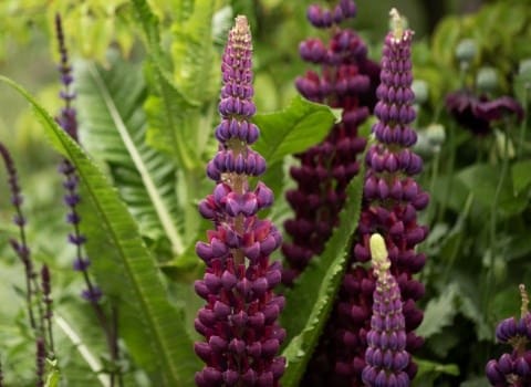 Embrace a summer of colour