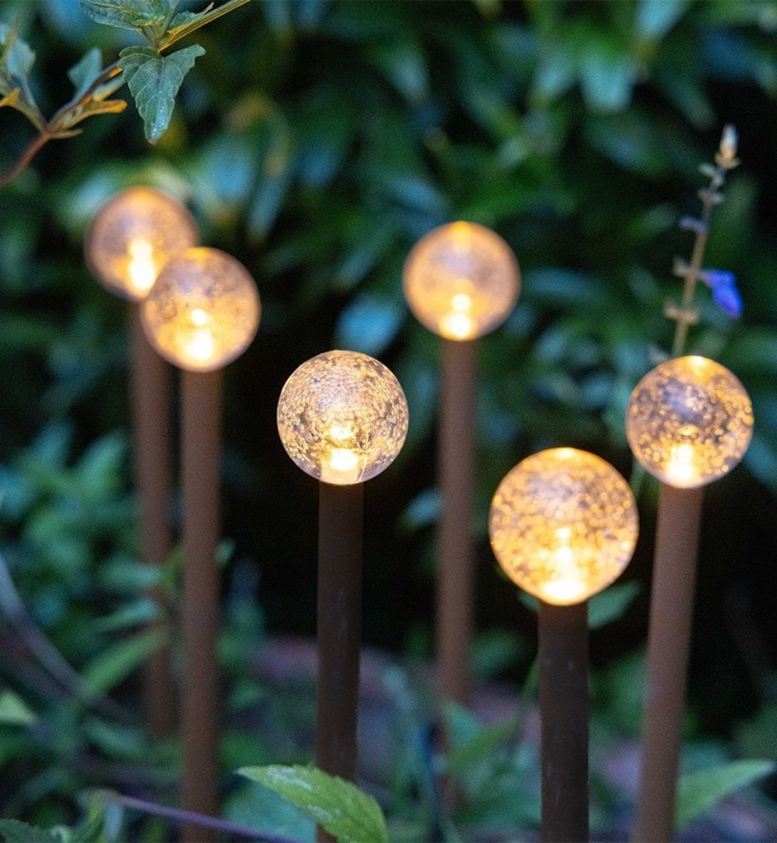 Lighting & ornaments