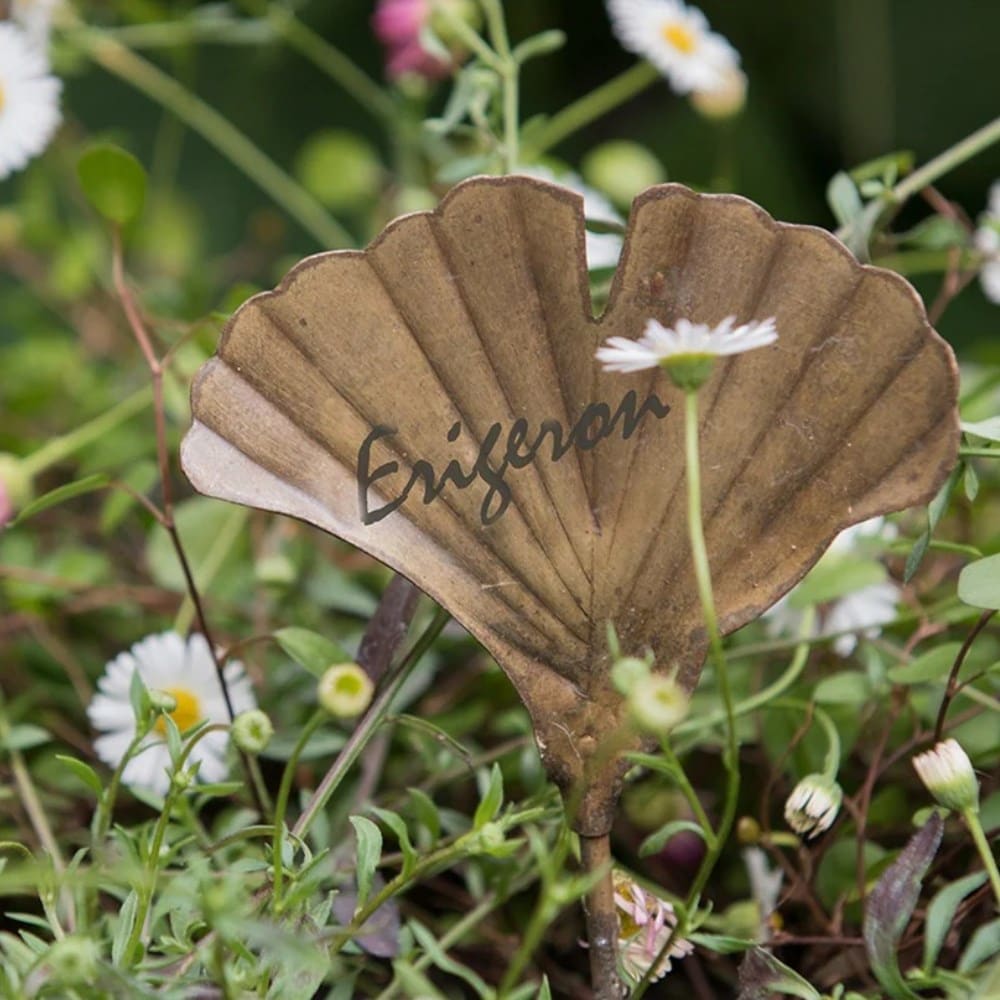 Plant support & protection