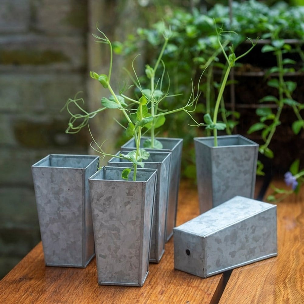 Potting & propagating