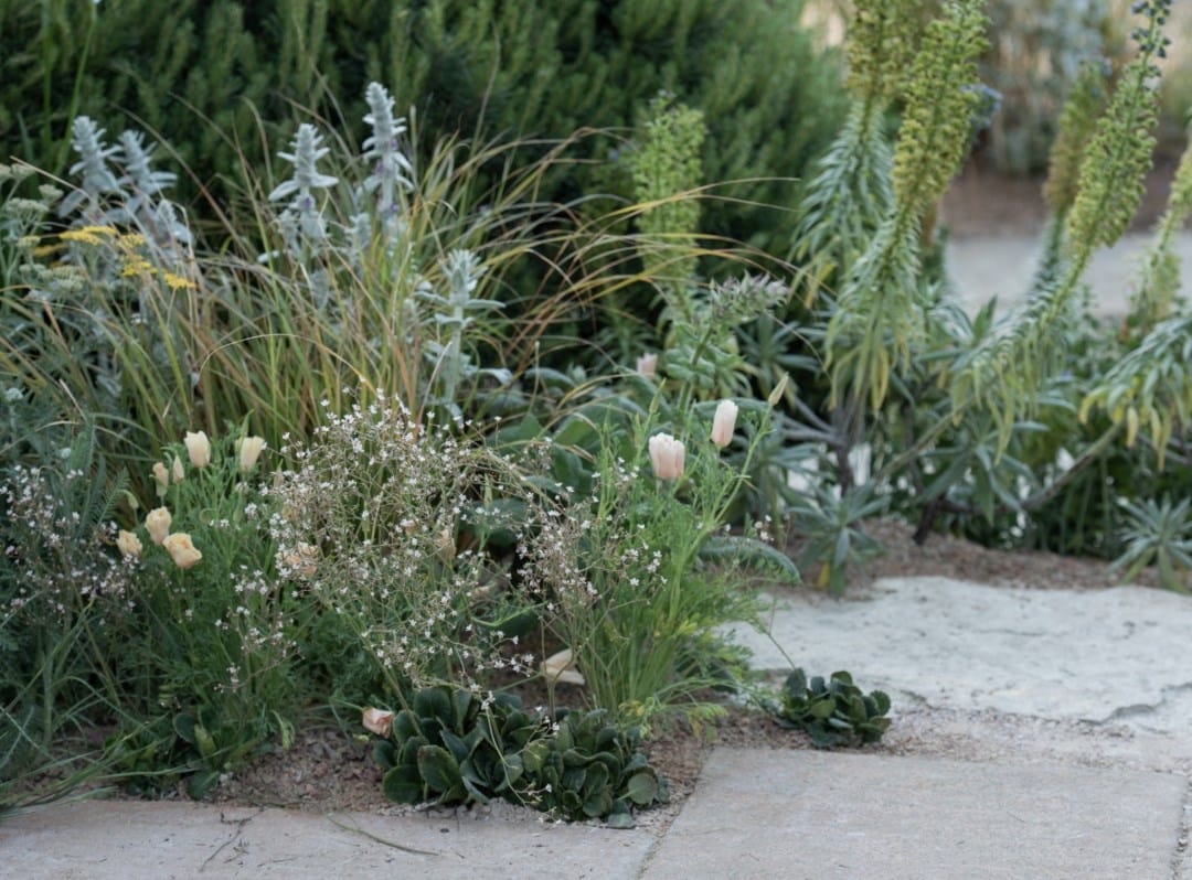 Climate resilient gardens