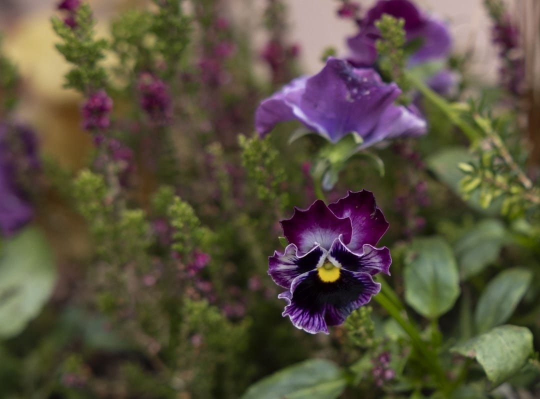 Autumn bedding