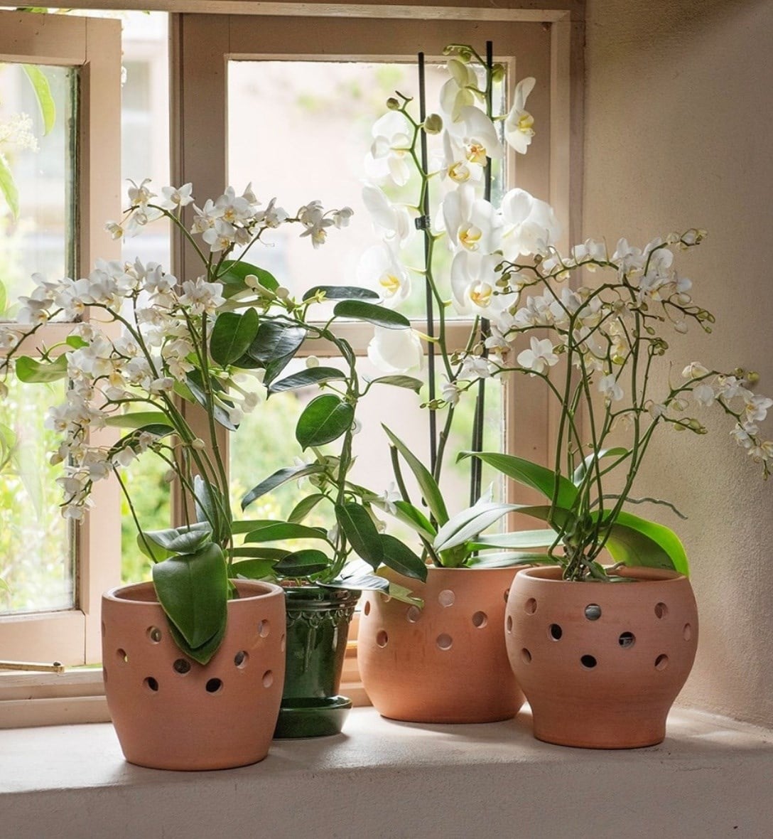 Indoor pots