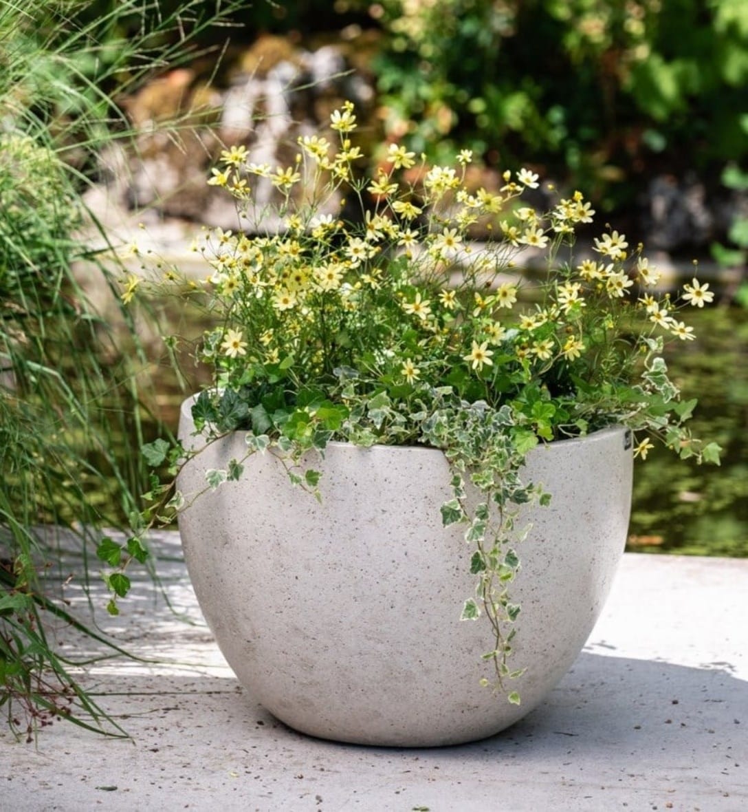 New pots