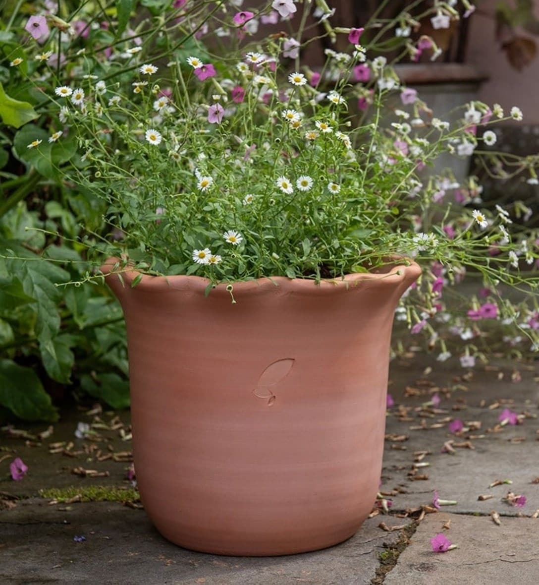 Outdoor pots