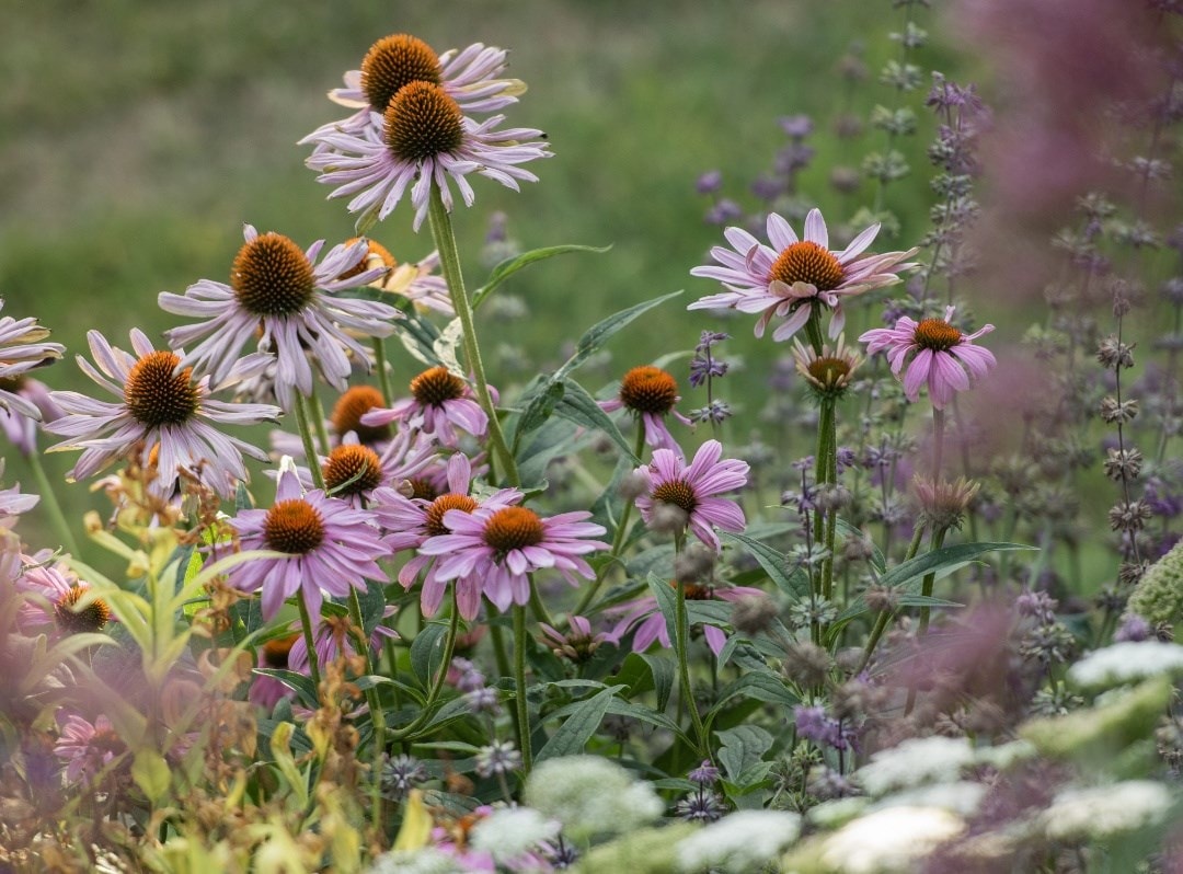 Helen's choice for September