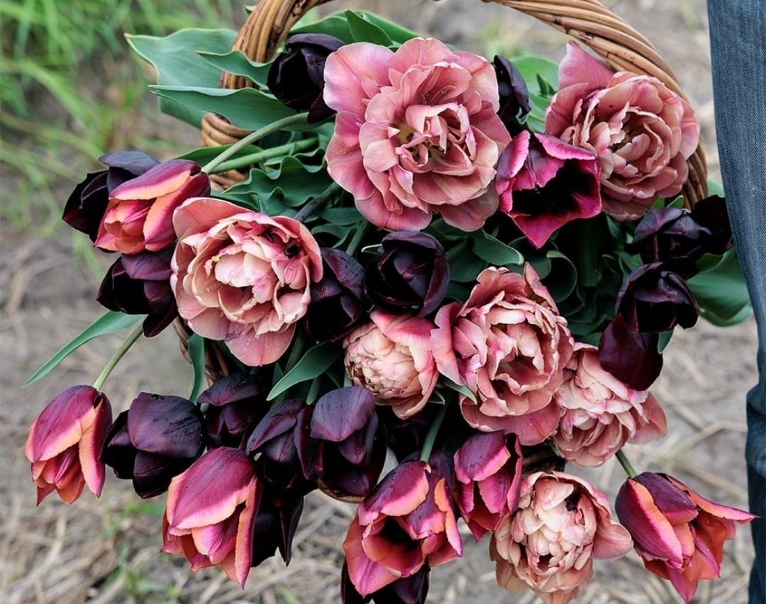 A dark and moody spring display