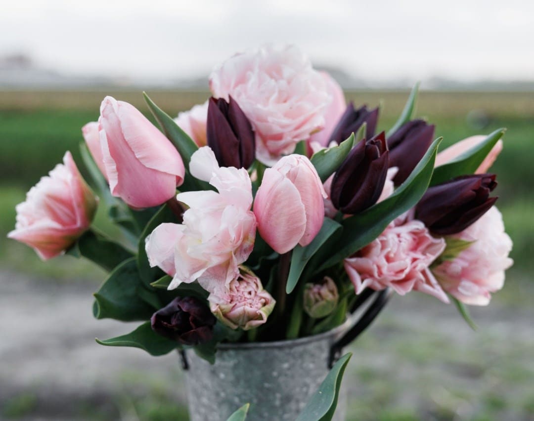 A pretty pastel spring display