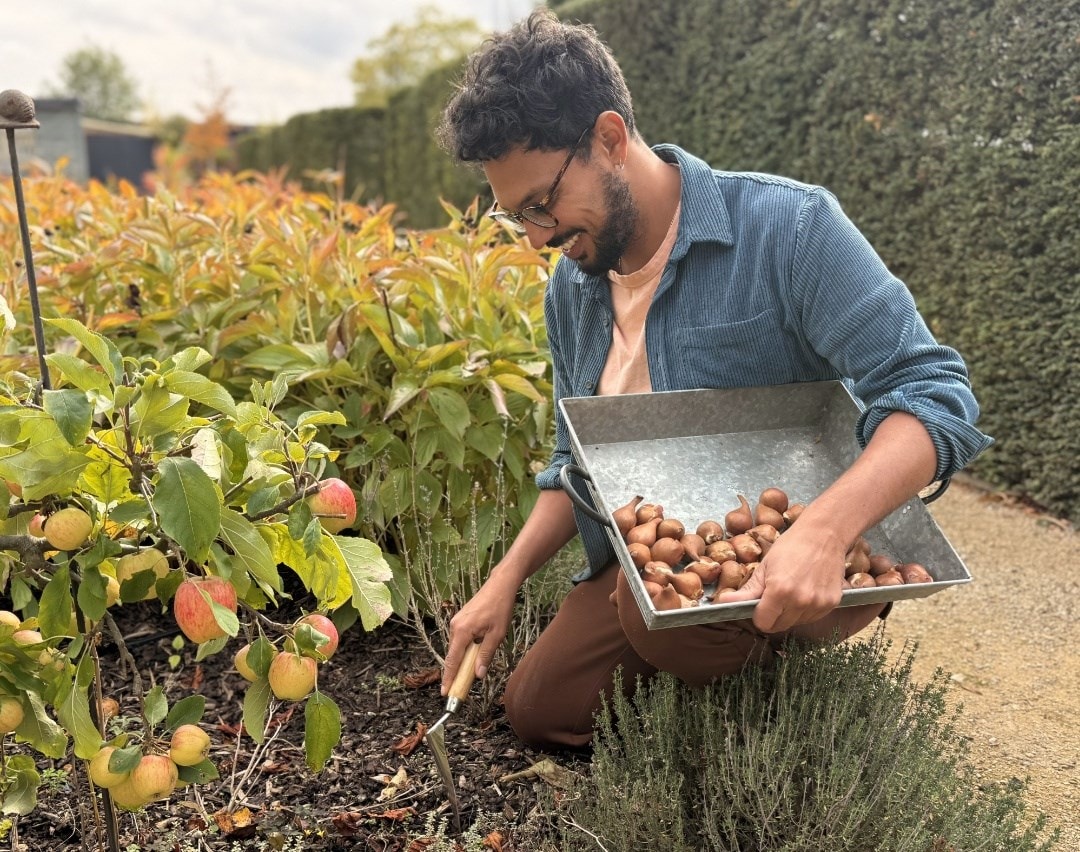 October in the garden