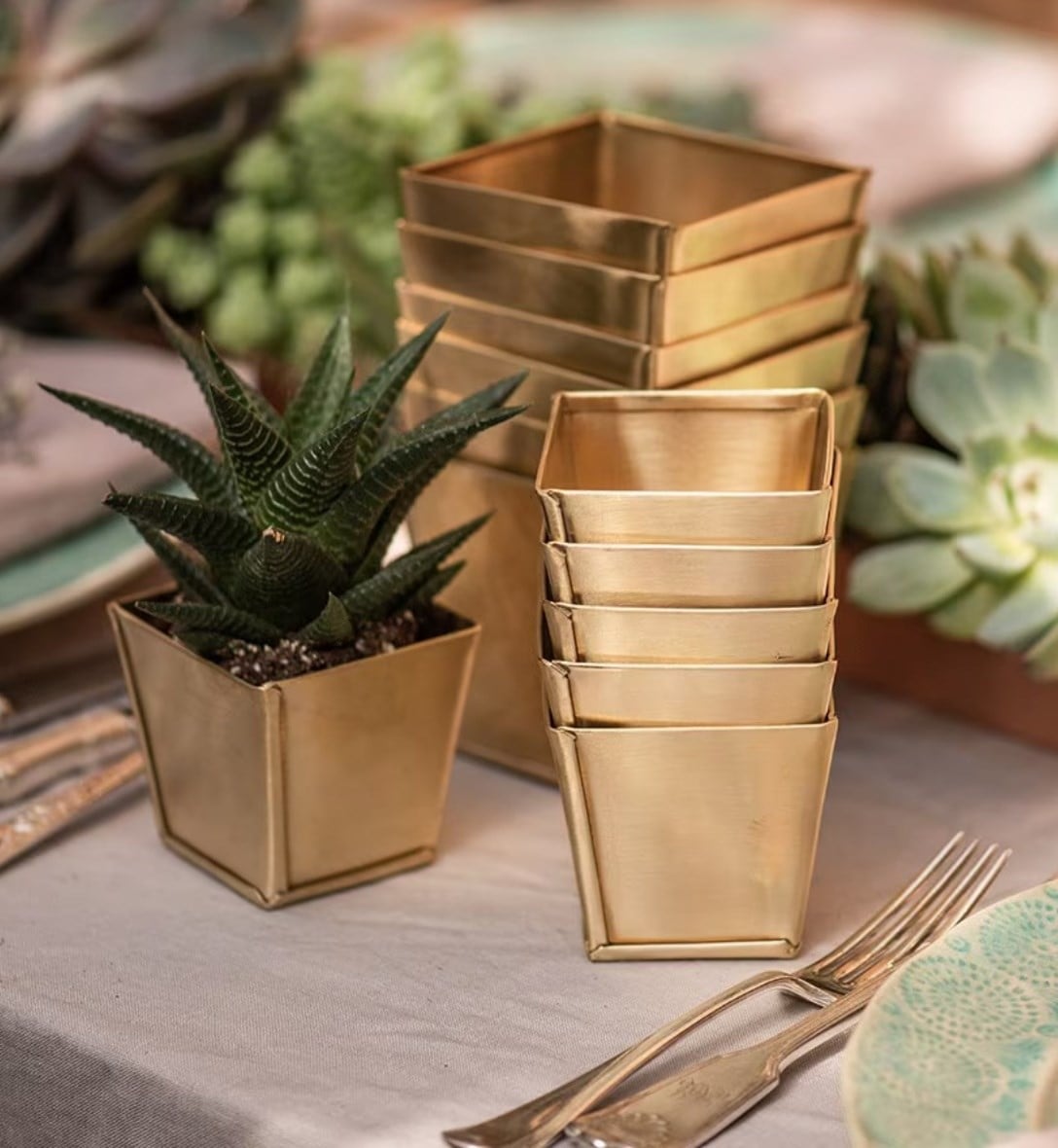 Indoor pots