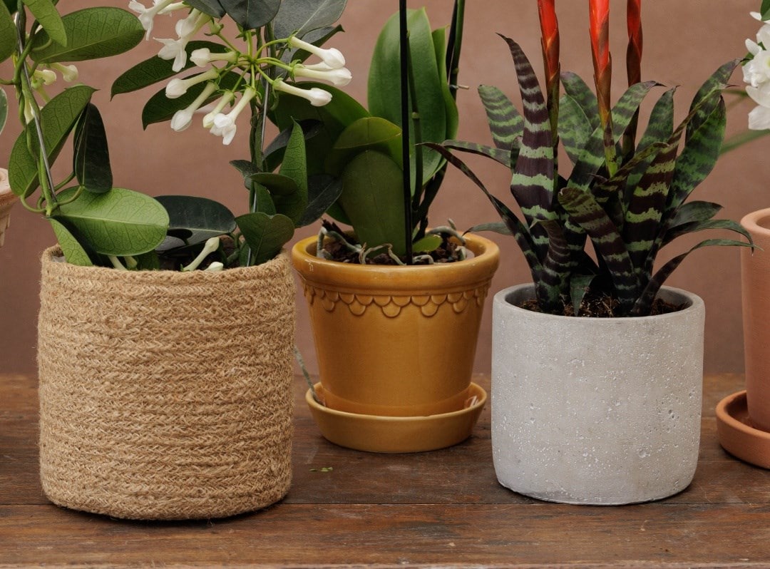 Indoor pots