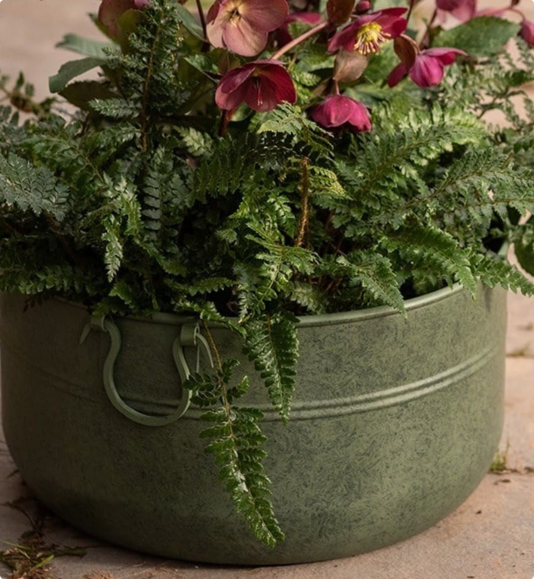 Outdoor pots