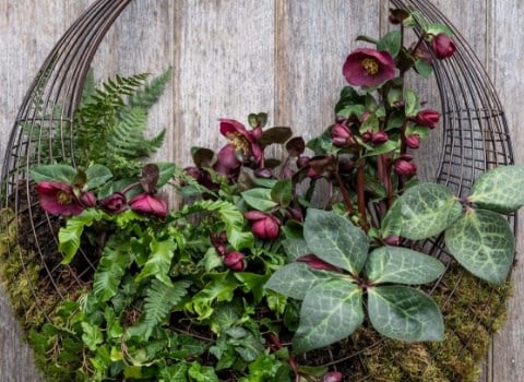 Great summer gardens are planted now