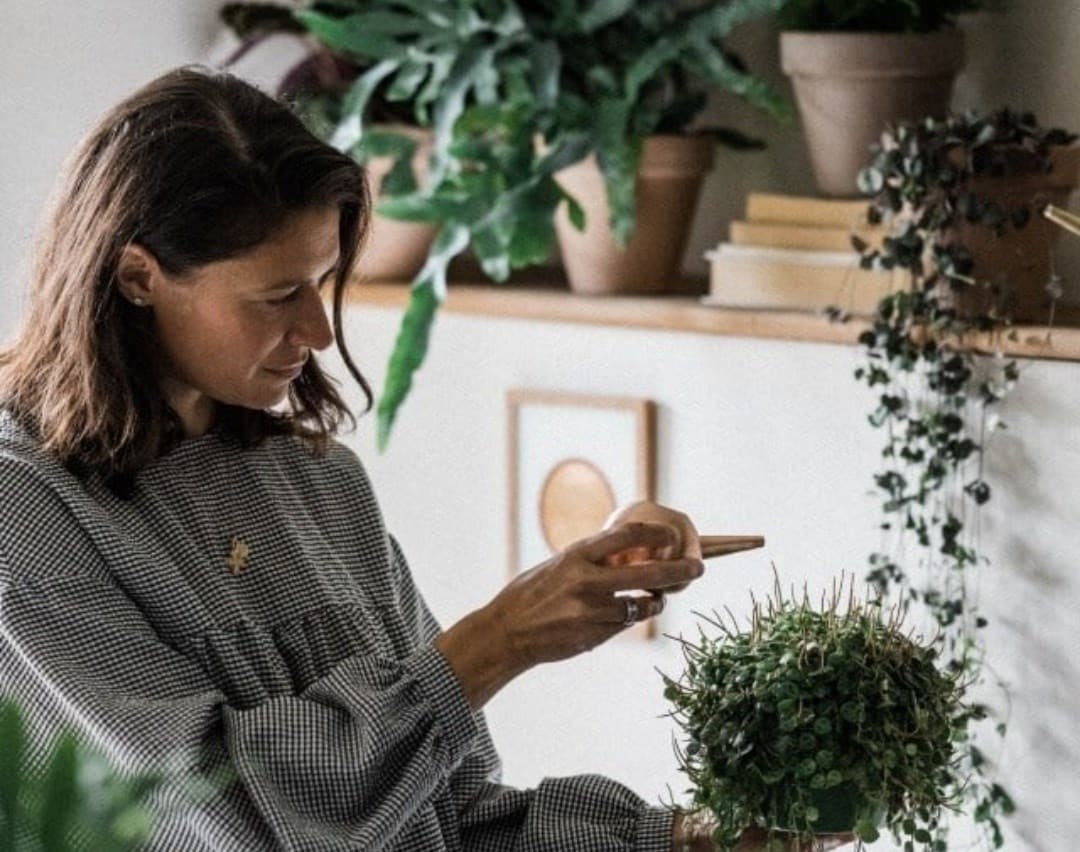 Care advice for houseplants