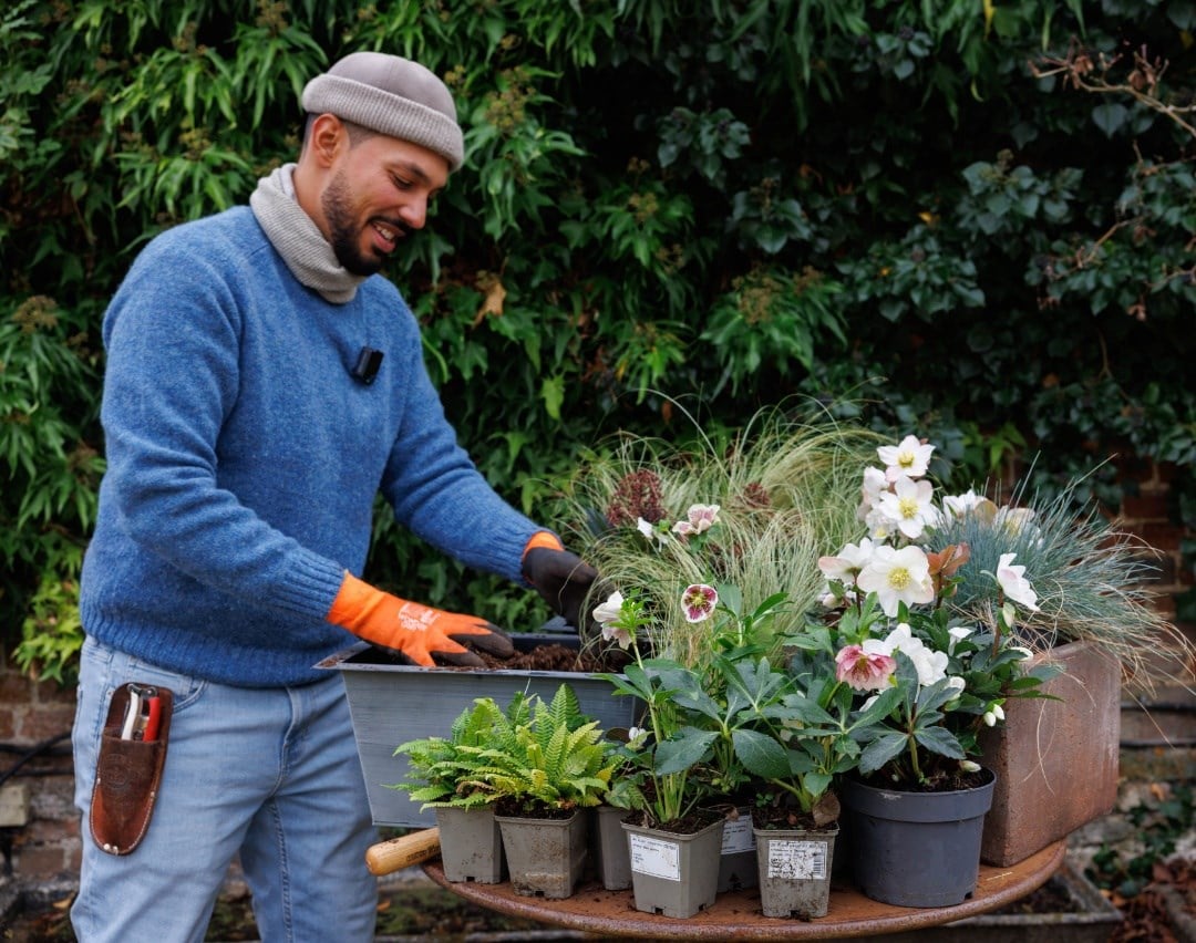 December in the garden