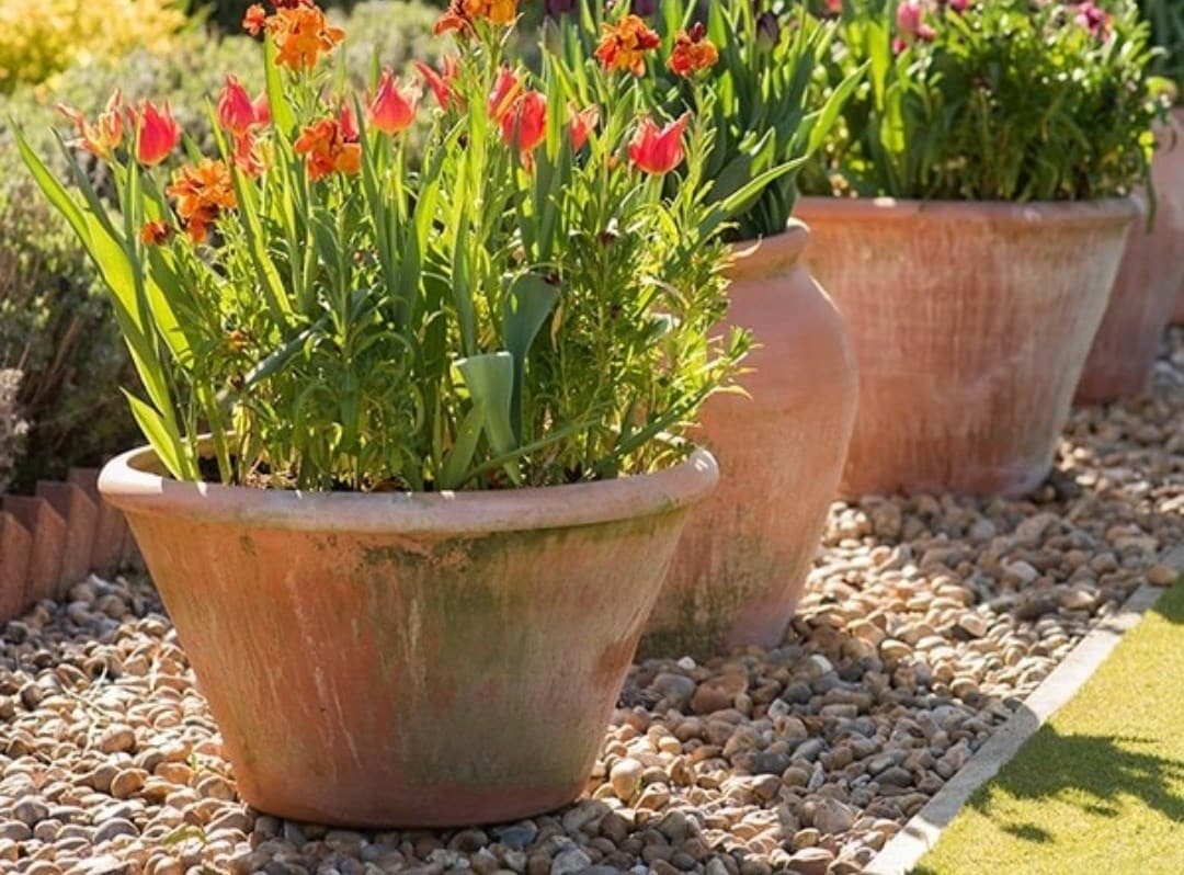 Outdoor living & tools