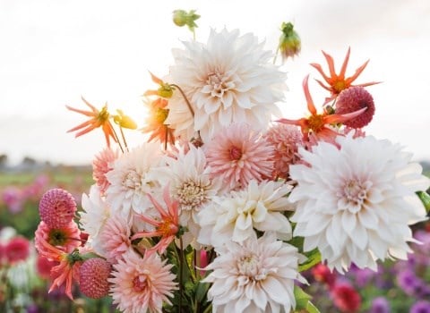 These days are coming