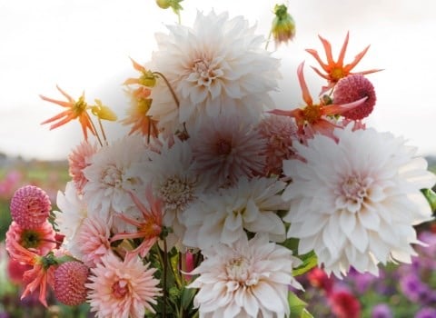 These days are coming