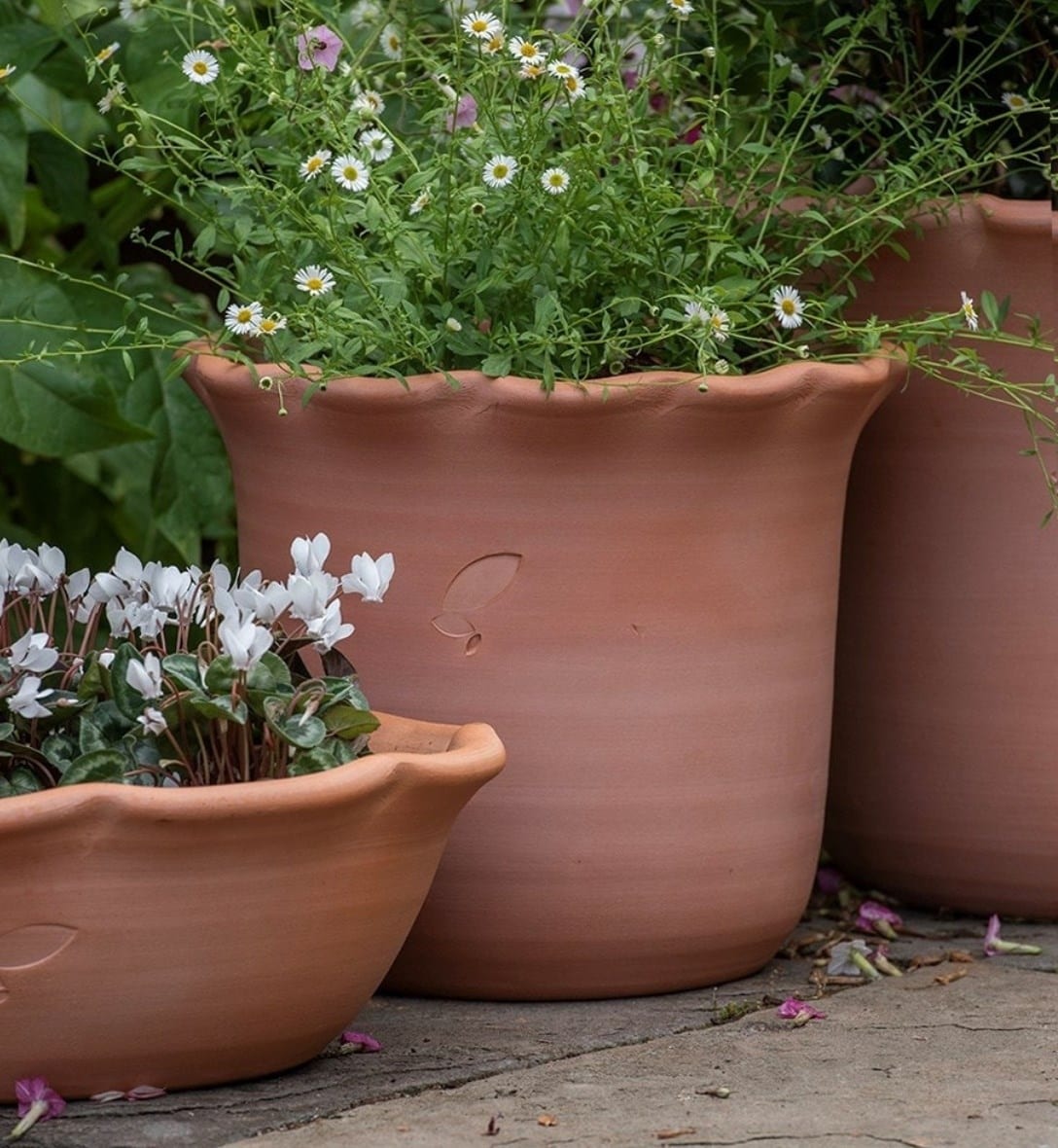 Outdoor pots