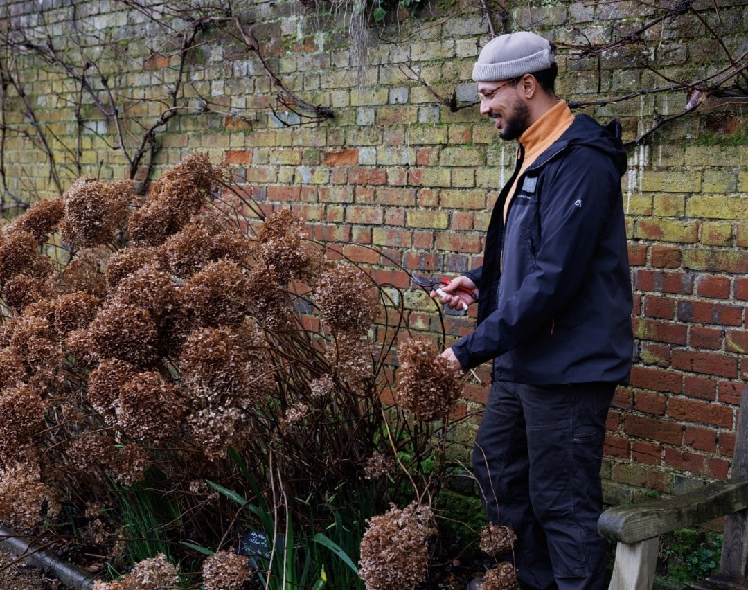 What to do in the garden this month