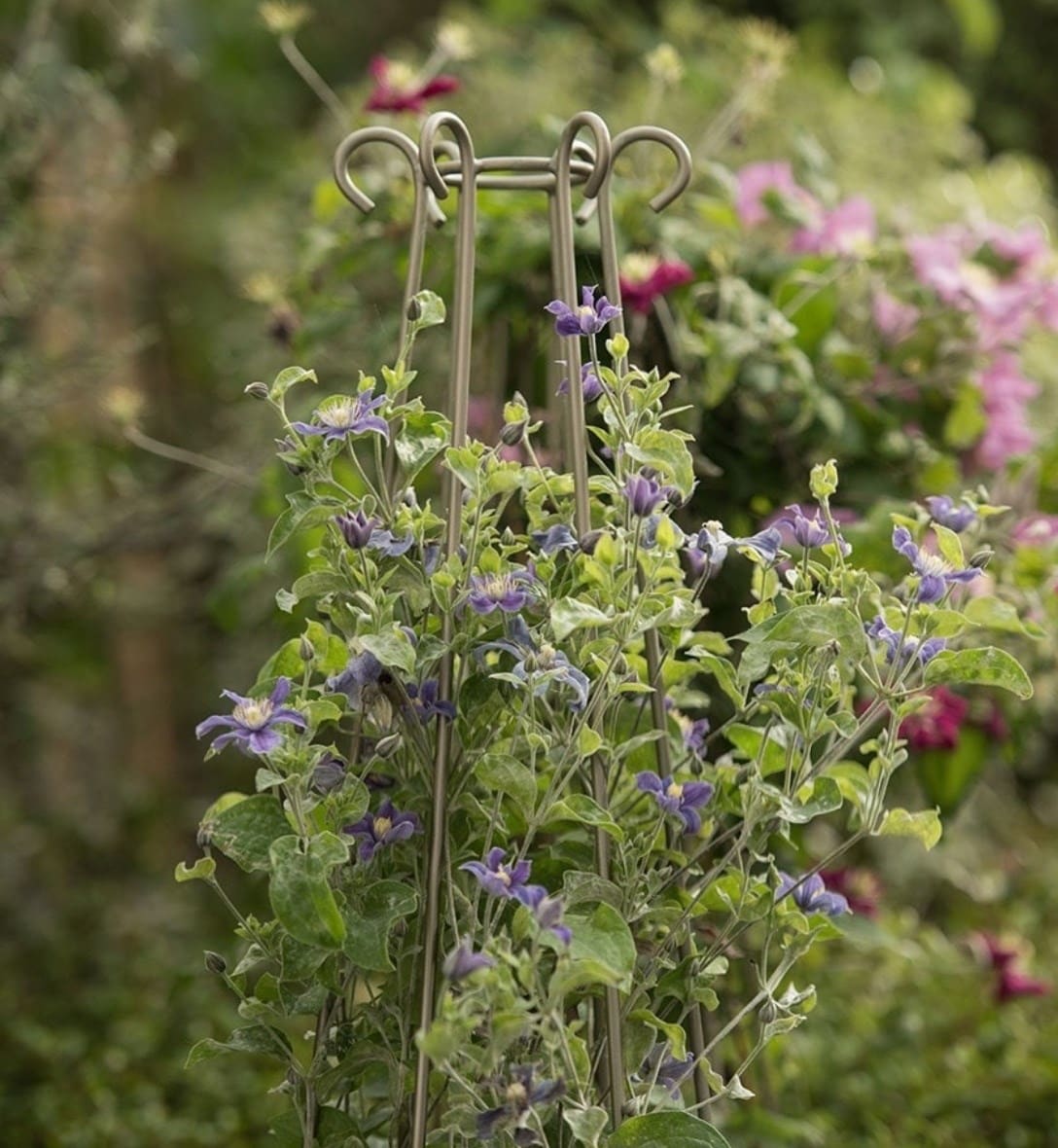 Plant support & obelisks