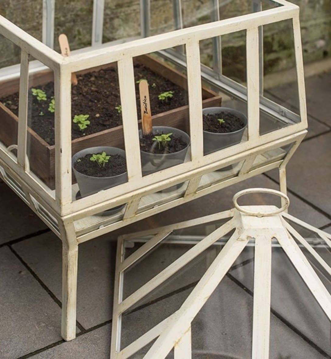 Glass cloches & growhouses