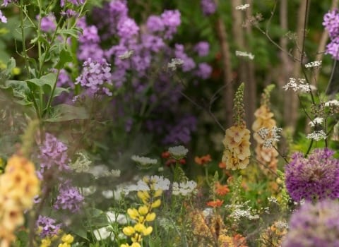 Escape to the garden