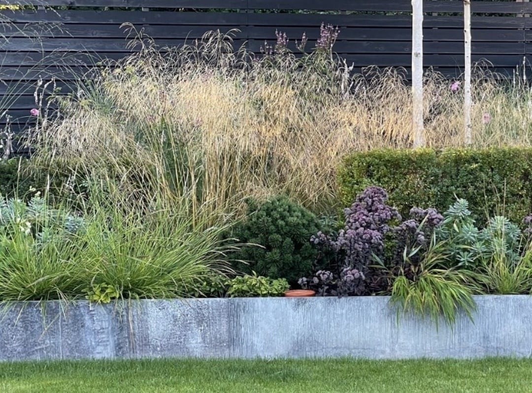 Garden design with ornamental grasses: Varieties, Uses and Tips