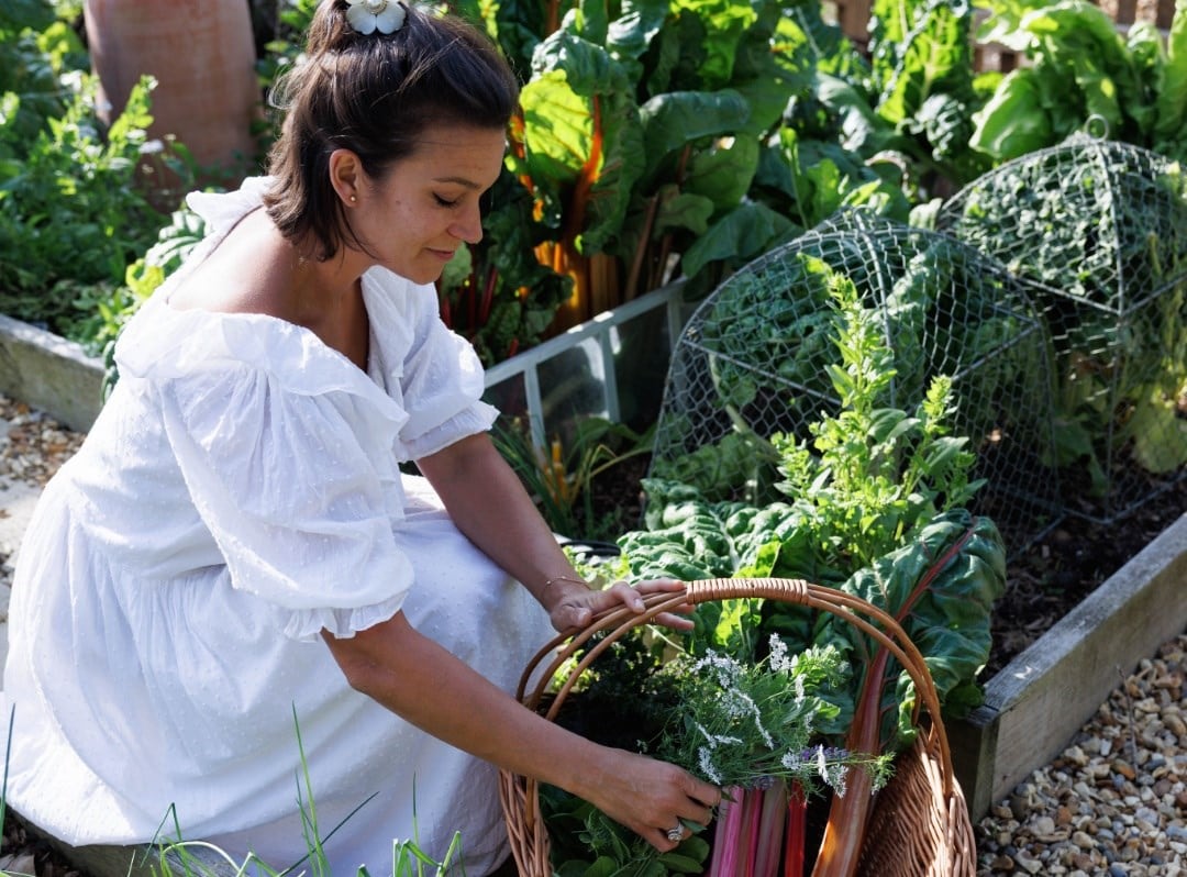 My Mulberry House kitchen garden collection